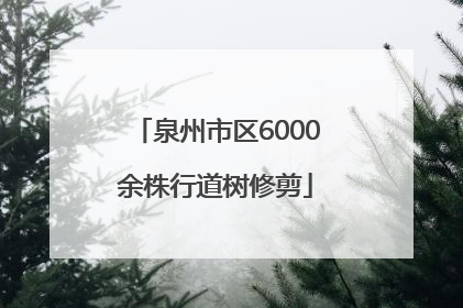 泉州市区6000余株行道树修剪