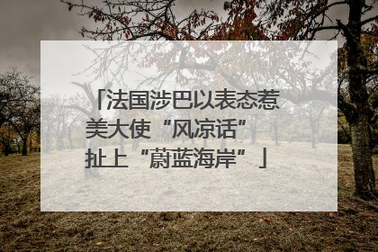 法国涉巴以表态惹美大使“风凉话” 扯上“蔚蓝海岸”