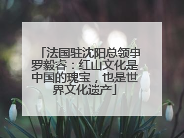 法国驻沈阳总领事罗毅睿：红山文化是中国的瑰宝，也是世界文化遗产