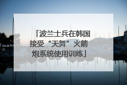 波兰士兵在韩国接受“天舞”火箭炮系统使用训练