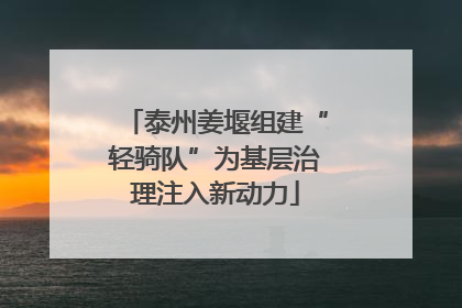 泰州姜堰组建“轻骑队”为基层治理注入新动力