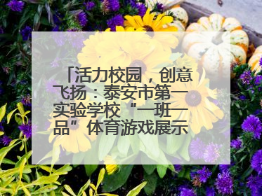 活力校园，创意飞扬：泰安市第一实验学校“一班一品”体育游戏展示精彩纷呈