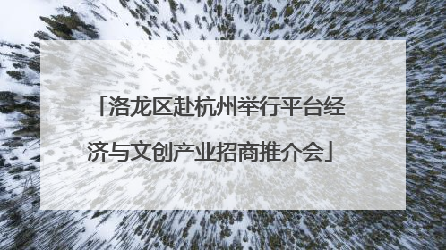洛龙区赴杭州举行平台经济与文创产业招商推介会