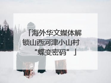 海外华文媒体解锁山西河津小山村“蝶变密码”