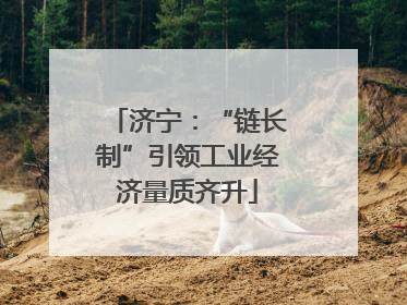 济宁：“链长制”引领工业经济量质齐升