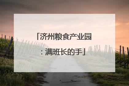 济州粮食产业园：满班长的手