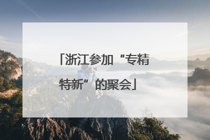 浙江参加“专精特新”的聚会