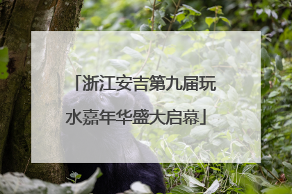 浙江安吉第九届玩水嘉年华盛大启幕