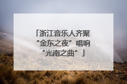 浙江音乐人齐聚“金东之夜”唱响“光南之曲”