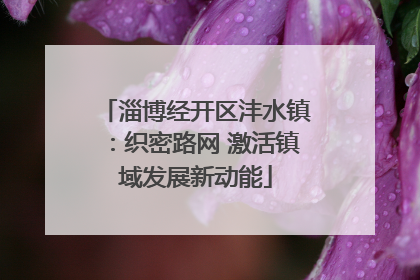 淄博经开区沣水镇：织密路网 激活镇域发展新动能
