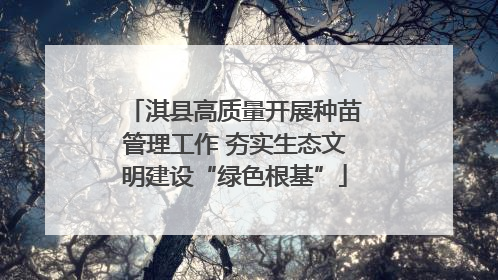 淇县高质量开展种苗管理工作 夯实生态文明建设“绿色根基”