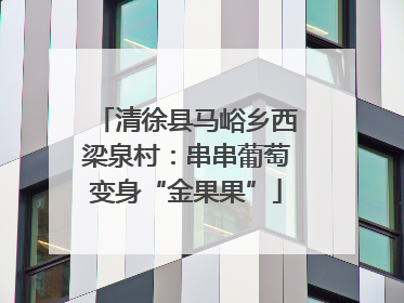 清徐县马峪乡西梁泉村：串串葡萄变身“金果果”