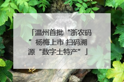 温州首批“浙农码”杨梅上市 扫码溯源“数字土特产”
