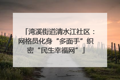 湾溪街道清水江社区：网格员化身“多面手”织密“民生幸福网”