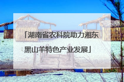 湖南省农科院助力湘东黑山羊特色产业发展
