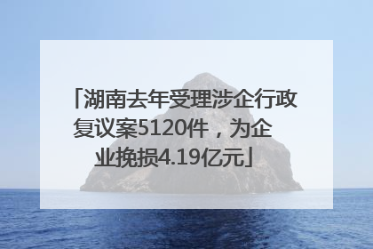 湖南去年受理涉企行政复议案5120件，为企业挽损4.19亿元
