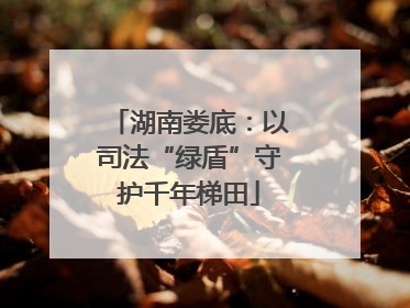 湖南娄底：以司法“绿盾”守护千年梯田