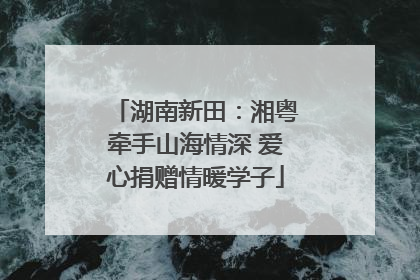 湖南新田：湘粤牵手山海情深 爱心捐赠情暖学子