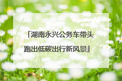 湖南永兴公务车带头跑出低碳出行新风景