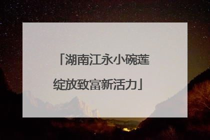 湖南江永小碗莲绽放致富新活力
