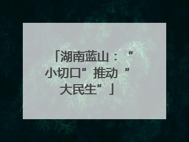 湖南蓝山：“小切口”推动“大民生”
