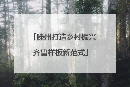 滕州打造乡村振兴齐鲁样板新范式
