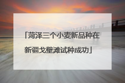 菏泽三个小麦新品种在新疆戈壁滩试种成功