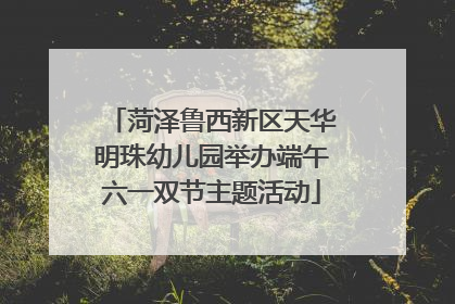 菏泽鲁西新区天华明珠幼儿园举办端午六一双节主题活动