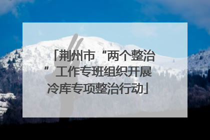 荆州市“两个整治”工作专班组织开展冷库专项整治行动