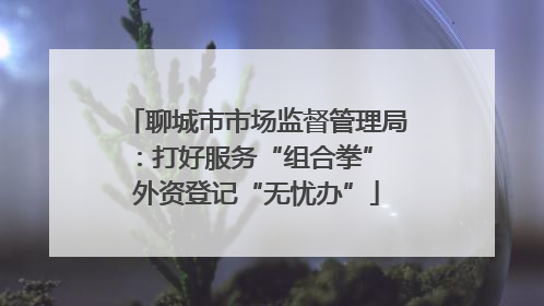 聊城市市场监督管理局：打好服务“组合拳” 外资登记“无忧办”