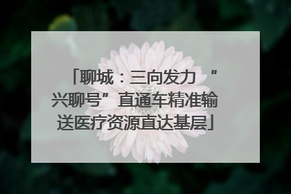 聊城：三向发力 “兴聊号”直通车精准输送医疗资源直达基层