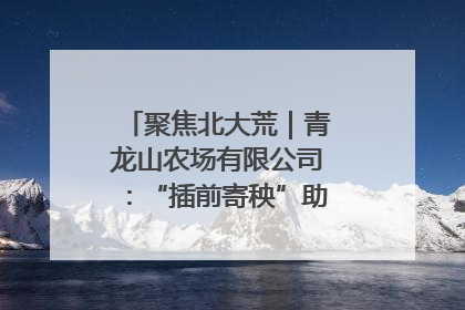 聚焦北大荒｜青龙山农场有限公司：“插前寄秧”助力农业节本增效