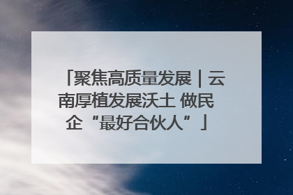 聚焦高质量发展｜云南厚植发展沃土 做民企“最好合伙人”