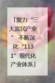 聚力“三大富民产业” 不断深化“1131”现代化产业体系