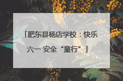 肥东县杨店学校：快乐六一 安全“童行”