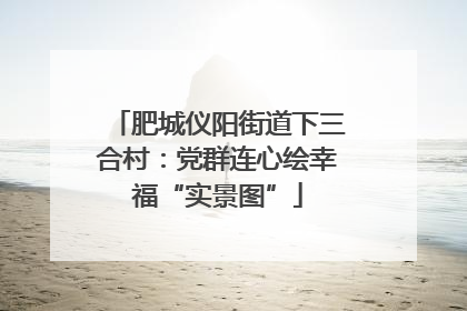肥城仪阳街道下三合村：党群连心绘幸福“实景图”