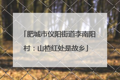 肥城市仪阳街道李南阳村：山楂红处是故乡
