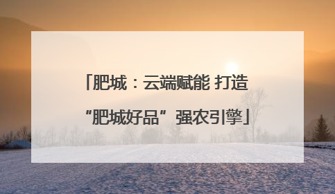 肥城：云端赋能 打造“肥城好品”强农引擎
