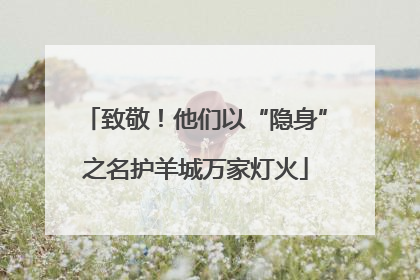 致敬！他们以“隐身”之名护羊城万家灯火