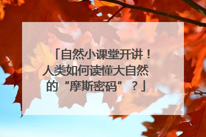 自然小课堂开讲！人类如何读懂大自然的“摩斯密码”？