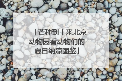 芒种到丨来北京动物园看动物们的夏日纳凉图鉴