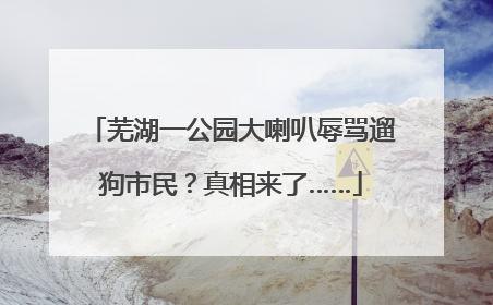 芜湖一公园大喇叭辱骂遛狗市民？真相来了……