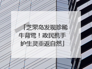 芝罘岛发现珍稀牛背鹭！政民携手护生灵重返自然