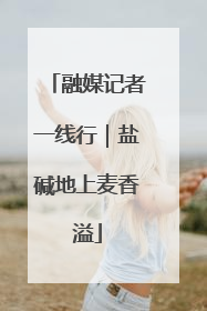 融媒记者一线行｜盐碱地上麦香溢