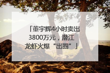 董宇辉4小时卖出3800万元，潜江龙虾火爆“出圈”