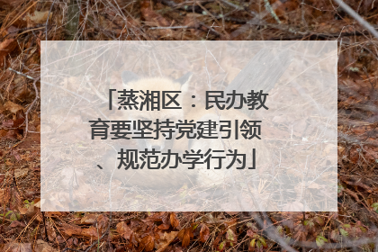 蒸湘区：民办教育要坚持党建引领、规范办学行为