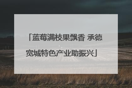 蓝莓满枝果飘香 承德宽城特色产业助振兴