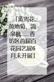 蓝雪花、黄地菊、流泉枫……香坊区首届百花园艺展6月末开展