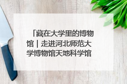 藏在大学里的博物馆｜走进河北师范大学博物馆天地科学馆：在校园里赴一场“宇宙之约”