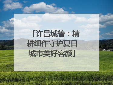 许昌城管：精耕细作守护夏日城市美好容颜